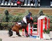 Apolloni Baby Arko GioCav2013 S5 1903 : Apolloni Gianluca, Baby Arko, Campionati Italiani Giovani Cavalli, Cattolica, ph Stefano Secchi ©